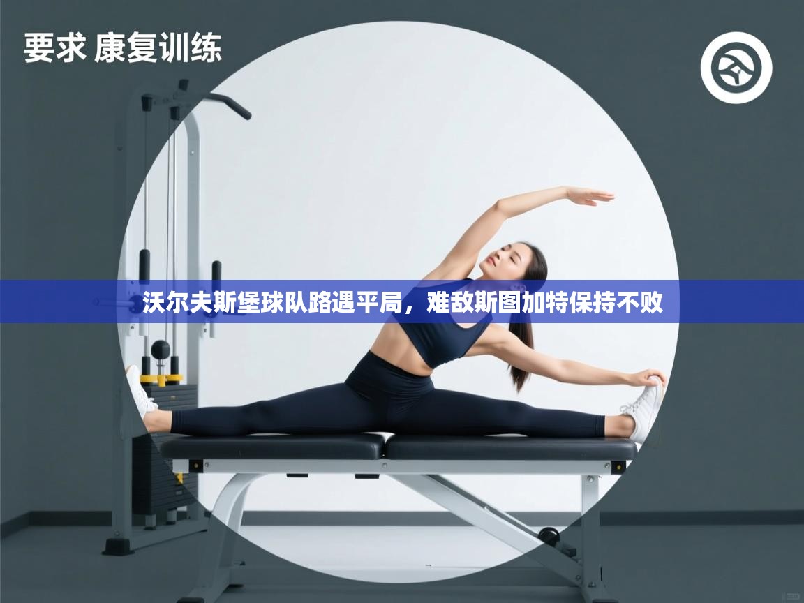 沃尔夫斯堡球队路遇平局，难敌斯图加特保持不败  第2张