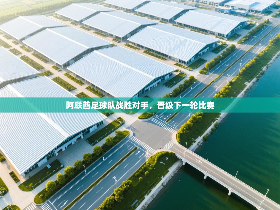 阿联酋足球队战胜对手,晋级下一轮比赛 第1张