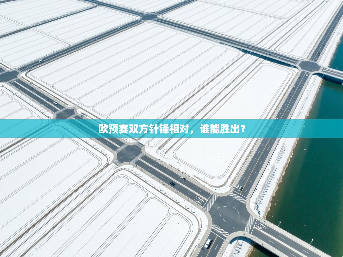 欧预赛双方针锋相对,谁能胜出? 第2张