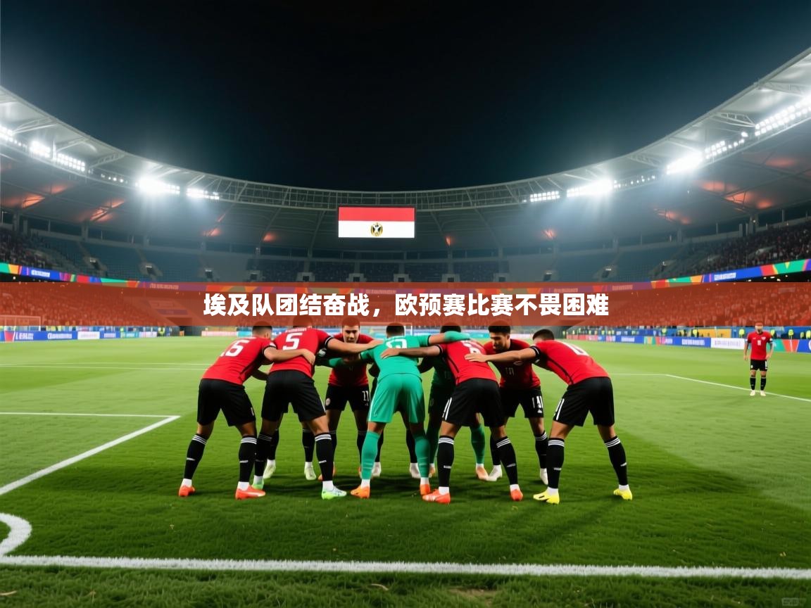 埃及队团结奋战，欧预赛比赛不畏困难  第2张