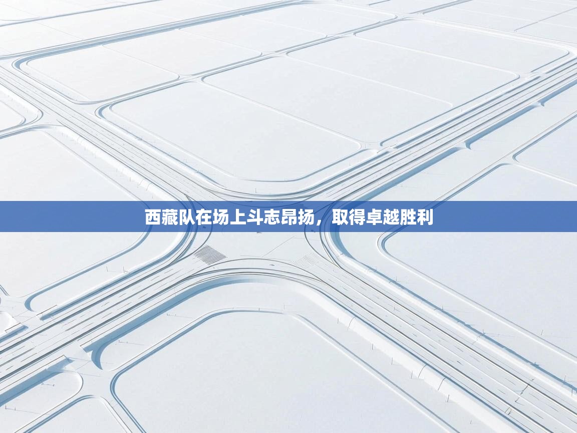 西藏队在场上斗志昂扬，取得卓越胜利