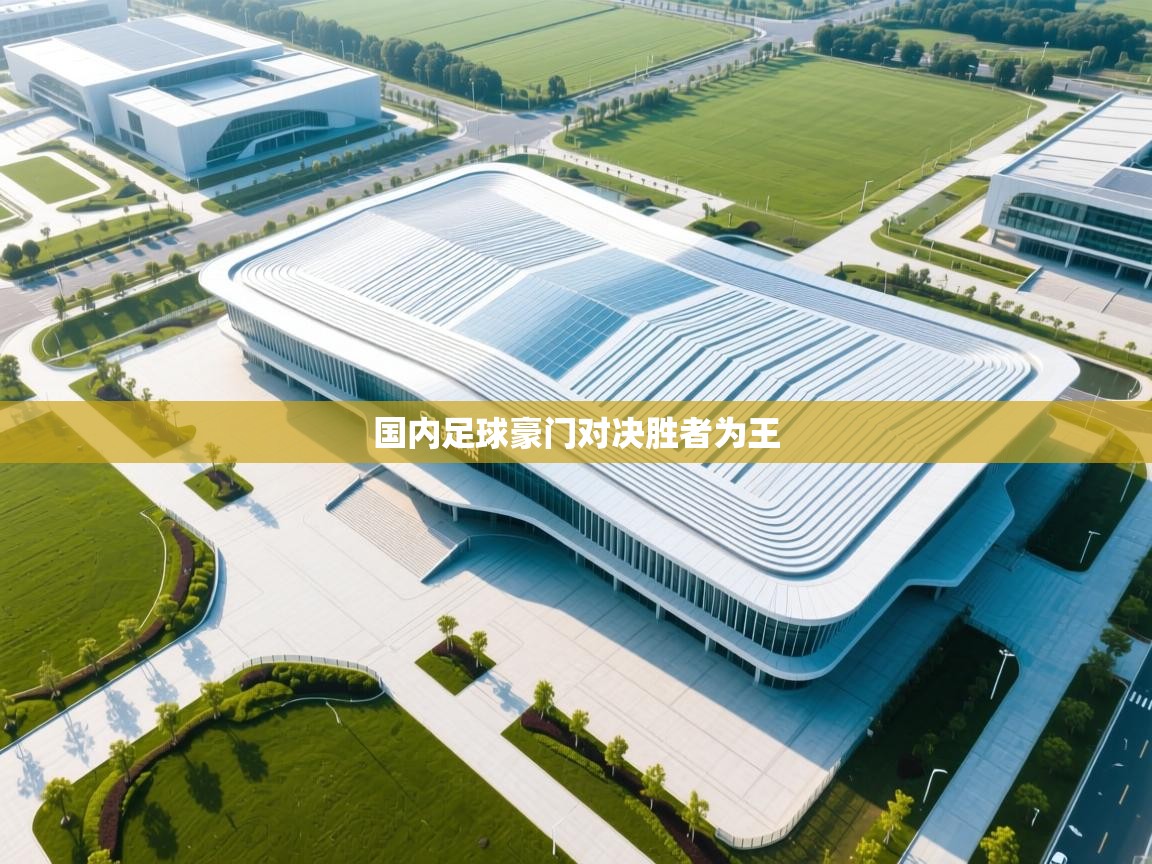 国内足球豪门对决胜者为王  第2张