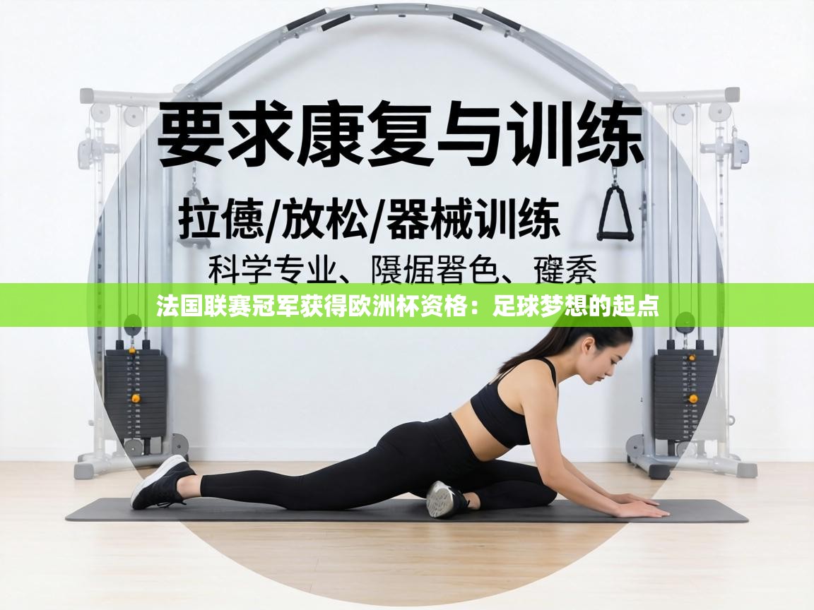 法国联赛冠军获得欧洲杯资格：足球梦想的起点  第1张